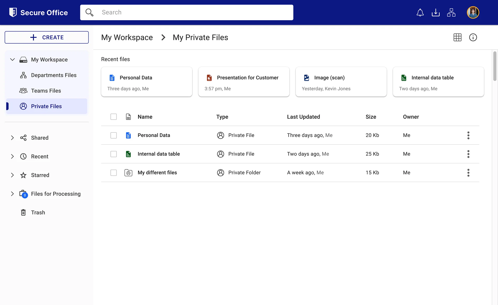 SecureOffice Secure Drive private files view