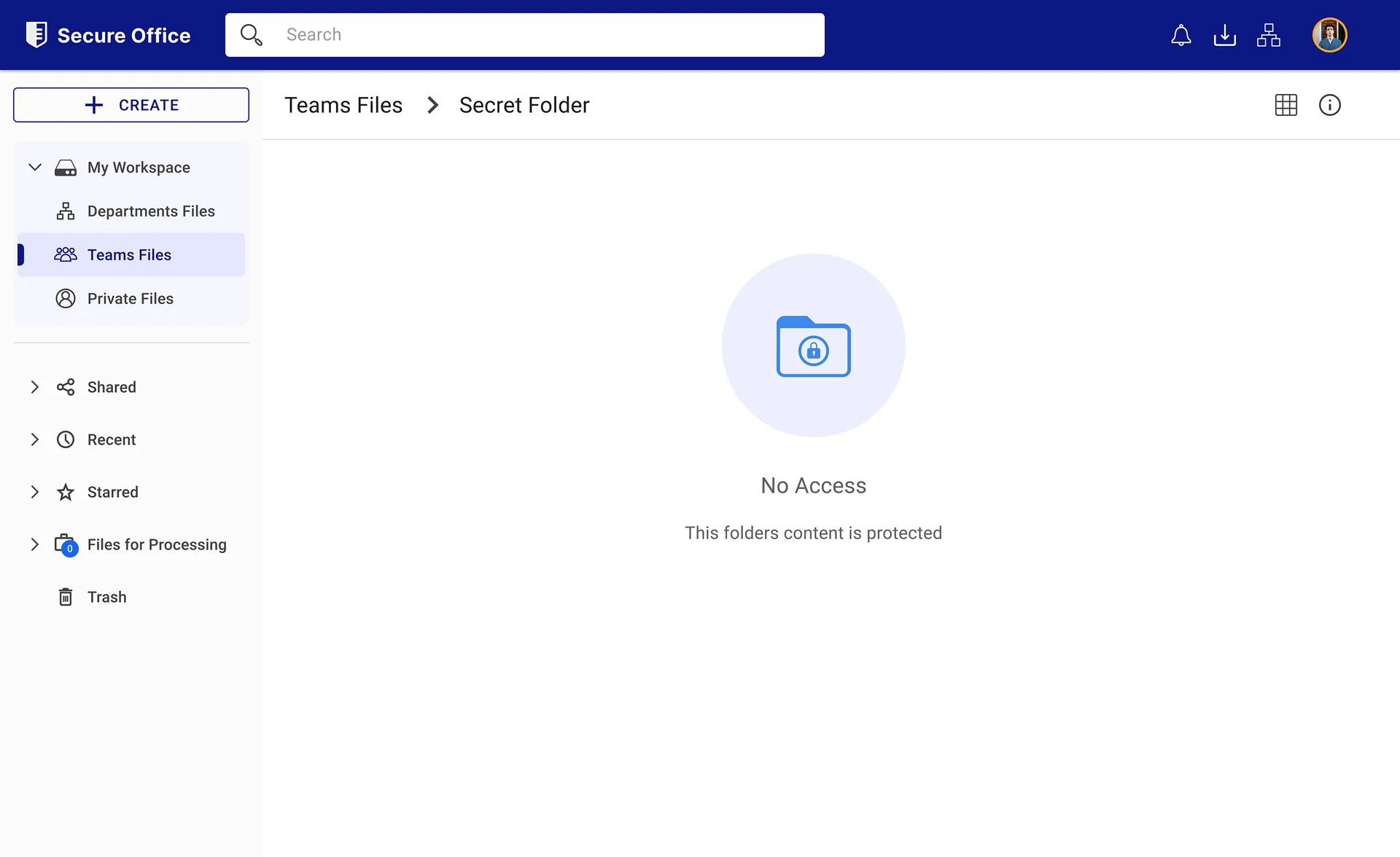 SecureOffice Secure Drive team files view